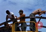 Image of construction Vietnam, 1966, second 48 stock footage video 65675024988