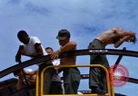 Image of construction Vietnam, 1966, second 49 stock footage video 65675024988