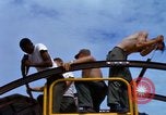 Image of construction Vietnam, 1966, second 54 stock footage video 65675024988