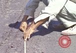 Image of construction Vietnam, 1966, second 20 stock footage video 65675024992