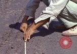 Image of construction Vietnam, 1966, second 21 stock footage video 65675024992
