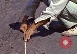 Image of construction Vietnam, 1966, second 22 stock footage video 65675024992