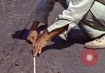 Image of construction Vietnam, 1966, second 23 stock footage video 65675024992