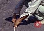 Image of construction Vietnam, 1966, second 24 stock footage video 65675024992