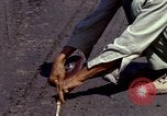 Image of construction Vietnam, 1966, second 33 stock footage video 65675024992