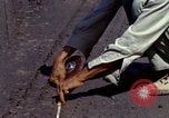 Image of construction Vietnam, 1966, second 34 stock footage video 65675024992