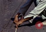 Image of construction Vietnam, 1966, second 35 stock footage video 65675024992