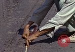 Image of construction Vietnam, 1966, second 36 stock footage video 65675024992