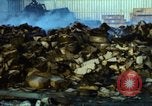 Image of rocket attack Vietnam, 1969, second 42 stock footage video 65675024999