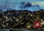 Image of rocket attack Vietnam, 1969, second 44 stock footage video 65675024999