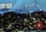 Image of rocket attack Vietnam, 1969, second 47 stock footage video 65675024999