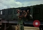 Image of sentry dogs Vietnam, 1965, second 39 stock footage video 65675025024