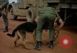 Image of sentry dogs Vietnam, 1965, second 44 stock footage video 65675025024
