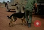 Image of sentry dogs Vietnam, 1965, second 45 stock footage video 65675025024