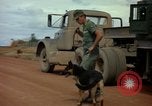 Image of sentry dogs Vietnam, 1965, second 48 stock footage video 65675025024