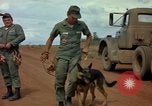 Image of sentry dogs Vietnam, 1965, second 51 stock footage video 65675025024