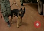 Image of sentry dogs Vietnam, 1965, second 57 stock footage video 65675025024
