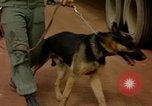 Image of sentry dogs Vietnam, 1965, second 58 stock footage video 65675025024