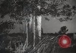 Image of Artistic montage of fleeting Japanese scenes Japan, 1933, second 24 stock footage video 65675025028