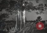 Image of Artistic montage of fleeting Japanese scenes Japan, 1933, second 25 stock footage video 65675025028