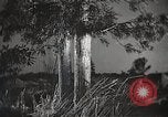 Image of Artistic montage of fleeting Japanese scenes Japan, 1933, second 26 stock footage video 65675025028