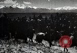 Image of Mongolian horsemen Japan, 1933, second 18 stock footage video 65675025030