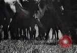 Image of Mongolian horsemen Japan, 1933, second 29 stock footage video 65675025030