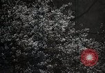 Image of Yasukuni Shrine Japan, 1933, second 10 stock footage video 65675025031