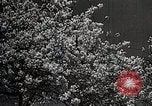 Image of Yasukuni Shrine Japan, 1933, second 11 stock footage video 65675025031