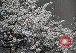 Image of Yasukuni Shrine Japan, 1933, second 13 stock footage video 65675025031