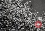 Image of Yasukuni Shrine Japan, 1933, second 15 stock footage video 65675025031
