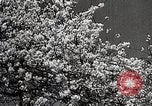 Image of Yasukuni Shrine Japan, 1933, second 16 stock footage video 65675025031