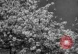 Image of Yasukuni Shrine Japan, 1933, second 17 stock footage video 65675025031
