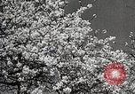 Image of Yasukuni Shrine Japan, 1933, second 18 stock footage video 65675025031