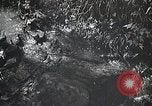 Image of Rural Japan Japan, 1933, second 16 stock footage video 65675025033