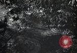 Image of Rural Japan Japan, 1933, second 17 stock footage video 65675025033