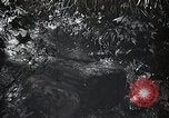 Image of Rural Japan Japan, 1933, second 18 stock footage video 65675025033