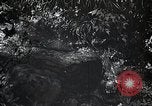 Image of Rural Japan Japan, 1933, second 19 stock footage video 65675025033