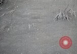 Image of Rural Japan Japan, 1933, second 23 stock footage video 65675025033