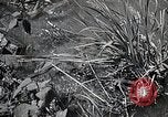 Image of Rural Japan Japan, 1933, second 28 stock footage video 65675025033