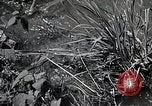 Image of Rural Japan Japan, 1933, second 29 stock footage video 65675025033