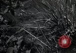 Image of Rural Japan Japan, 1933, second 32 stock footage video 65675025033