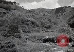 Image of Rural Japan Japan, 1933, second 47 stock footage video 65675025033