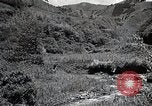 Image of Rural Japan Japan, 1933, second 48 stock footage video 65675025033