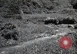 Image of Rural Japan Japan, 1933, second 50 stock footage video 65675025033