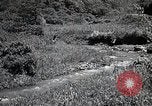 Image of Rural Japan Japan, 1933, second 51 stock footage video 65675025033