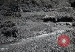 Image of Rural Japan Japan, 1933, second 52 stock footage video 65675025033