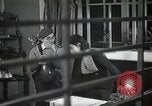Image of western culture Japan, 1933, second 51 stock footage video 65675025034