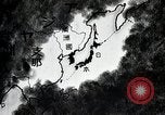 Image of Japanese in Western garb seen on city sidewalks Japan, 1931, second 21 stock footage video 65675025038