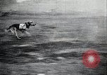 Image les troupes japonaises Japon, 1933, de la seconde 8 séquences d'archives historiques vidéo 65675025046